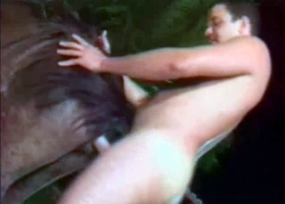 Stallion penetrated by a male zoophile