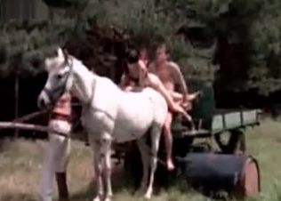 Horse butthole fucked from behind