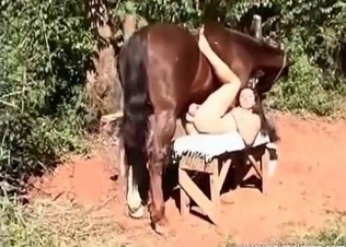 Stallion is butt-banging this slut