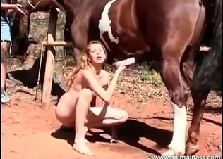 Stallion is getting a gorgeous blowjob