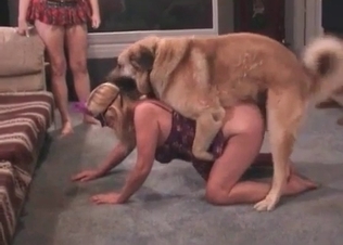 Vagina sucked by a lustful doggy
