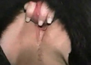 Cute banging action in the bestial style
