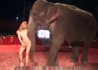 Naked girl is getting in the animal sex