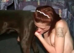 Foxy zoophile is wanking a dog cock