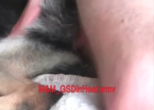 Hairy doggy in the amateur bestiality