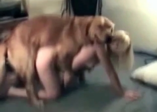 Trained doggy of a cock-swallowing zoophile slut