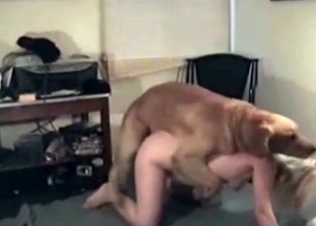 Trained doggy of a cock-swallowing zoophile slut