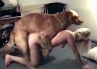 Trained doggy of a cock-swallowing zoophile slut