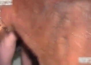 Slim babe fucked hard by her own horse