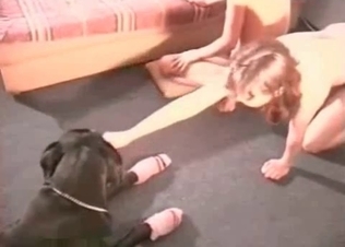 Cute and amateur bestiality sex