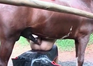 Asshole penetrated by my lovely pony