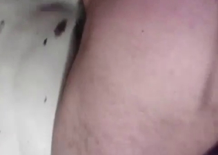 Male zoophile is banging a stunning stallion
