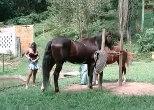 Horny young horses in the amateur bestiality action