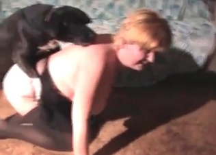 Good homemade bestiality sex in the bedroom of my wife
