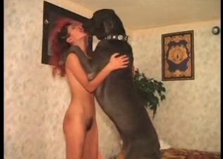 Doggy is having cock-riding session with an owner