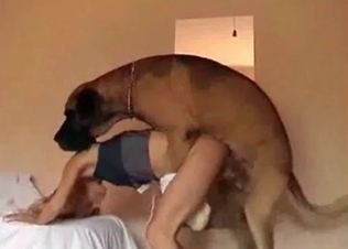 Playful trained beast in the amateur bestiality