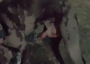 Outdoor bestiality sex with my doggy