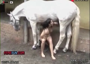 Filthy as fuck orgasm in the farm bestiality