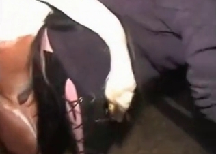 Dirty brunette fucked by a colt
