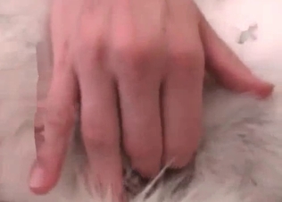 Amateur bestiality action in the bedroom