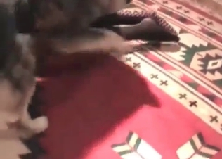 Dirty doggy is screwing with a sweet zoophile