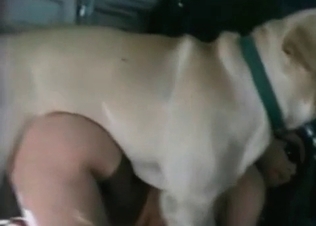 Sensual and intensive amateur bestiality
