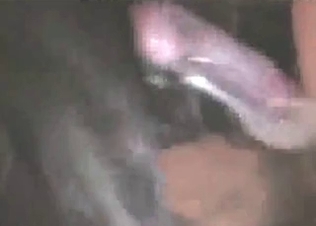 Muscled animal fucked a very lustful zoophile