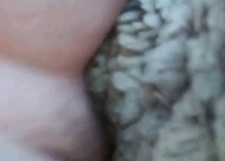 Anal action with a dirty farm animal