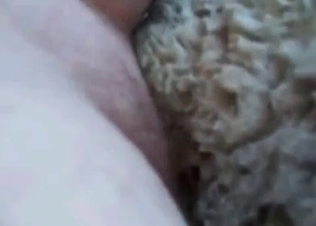 Anal action with a dirty farm animal