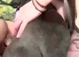 Tight muff screwed hard by an animal