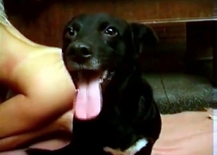 My pet is getting in the awesome bestiality