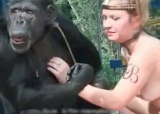Monkey trained by a skillful amateur zoophile