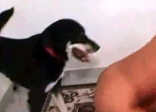 Sexy zoophile and her trained to fuck animal