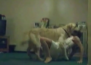 Zoophile is getting owned by a doggy