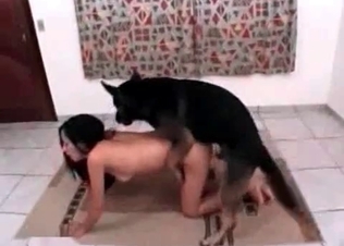 Small snatch is being impaled by a German dog