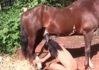 Cunt filled out by a muscled stallion