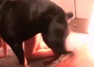 Brutal dog fucked a wet tight cunt