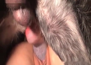 Redhead slut and doggy