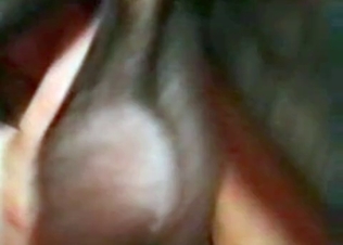 Teasing an awesome black puppy