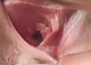 Stallion cock is insanely massive
