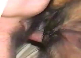 Nasty as hell bestiality with my doggy