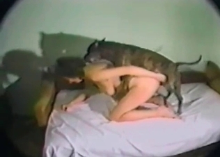 Sweet bestiality with a big-breasted woman