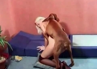 Nice and fast dog bestiality