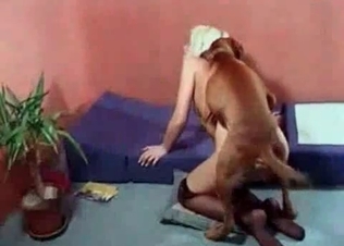 Nice and fast dog bestiality