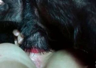 Very spicy homemade bestiality banging action