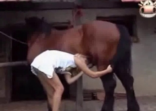 Farm bestiality sex compilation