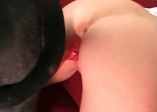 Dog fucked her twat so sexy