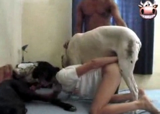 Alluring zoophile is giving a head