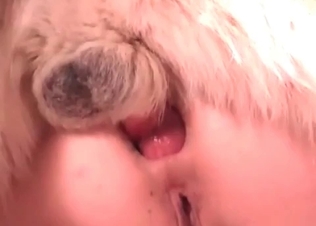 Deepthroat blowjob for a trained animal