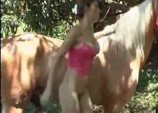 Trained horse and elegant mademoiselle